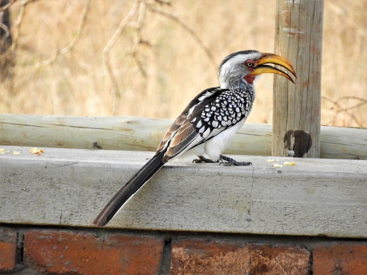 Villa Flight of the Eagle @ Kruger Marloth Park Exterior foto